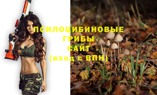 героин Горняк