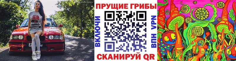 Псилоцибиновые грибы Magic Shrooms  Купить  Фурманов 